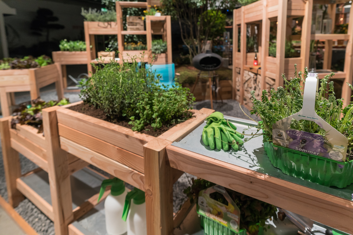 Frische Kräuter im Hochbeet